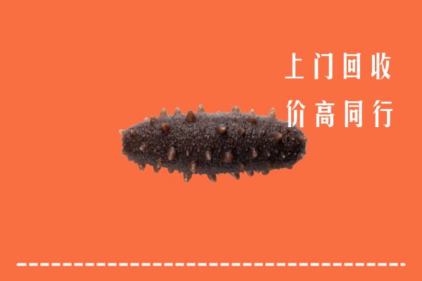 高价求购：江川区回收海参